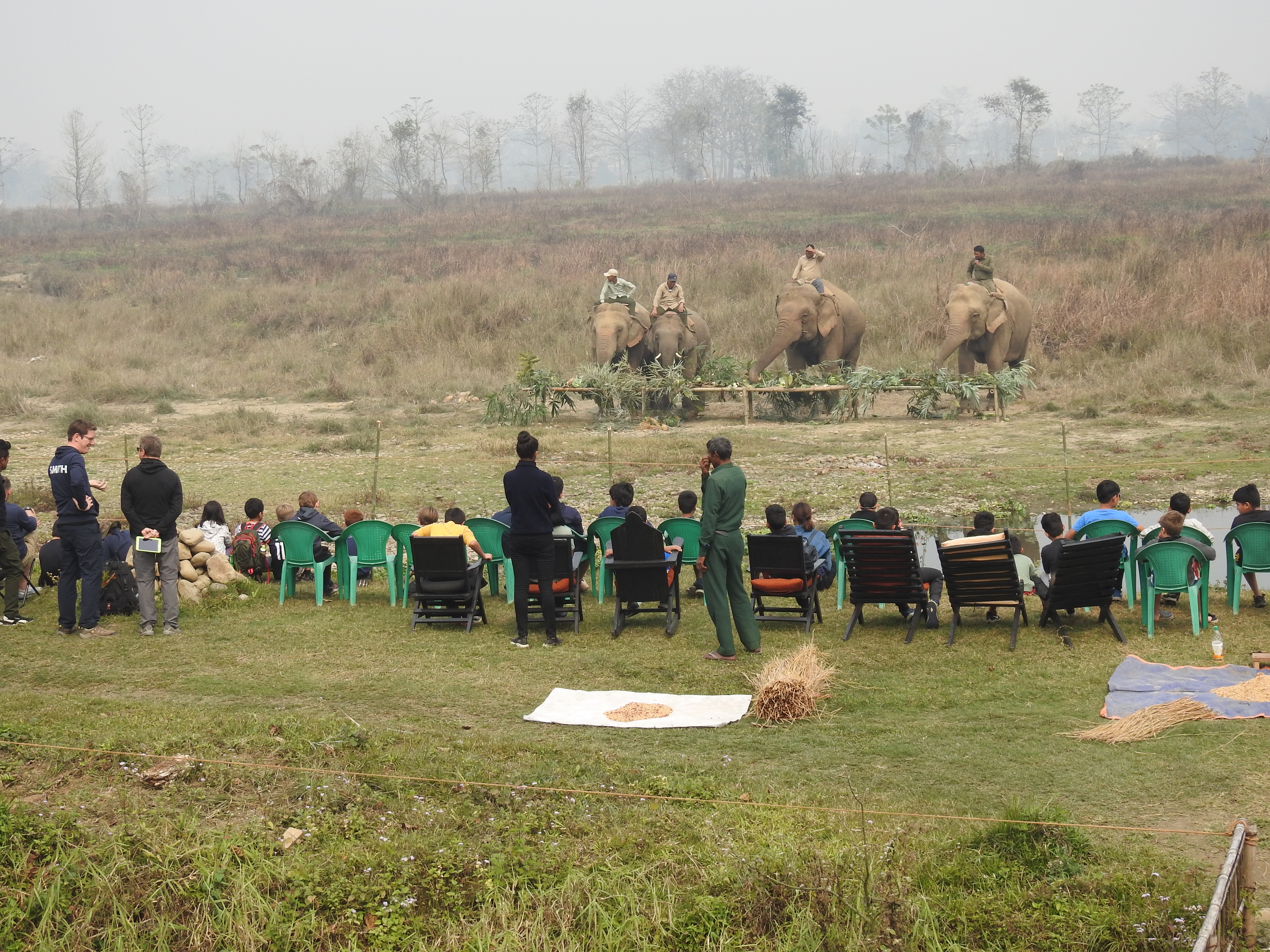 Elephant Care Program at Sapana Village Lodge